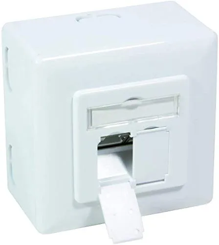 BIGtec Netzwerkdose Aufputz Unterputz CAT.6a 2 x RJ45 Buchse universal LAN Dose POE PoE+ fähig signalweiß RAL9003 geeignet für Verlegekabel Netzwerk-Kabel CAT8 CAT7 CAT6a CAT6 CAT5