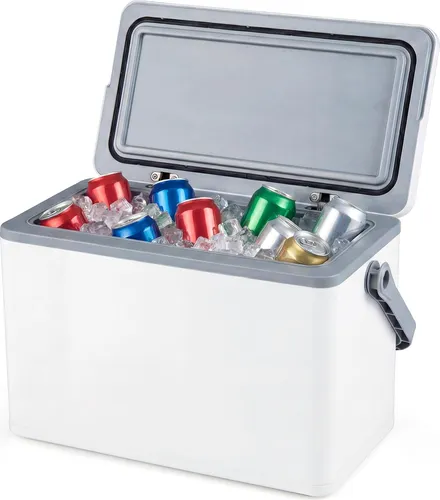 COSTWAY Tragbare Hartschalen-Kühlbox 12 L