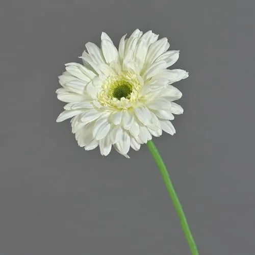 artplants.de Künstliche Blume Gerbera Helli, Creme, 65cm, Ø 12cm