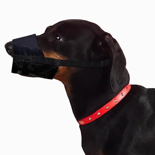 Dingo Weicher Nylon Maulkorb für kleine Rassen - Maulkörbe für Hunde, atmungsaktiv und bequem für kurze Spaziergänge oder Tierarztbesuche, ideal für kleine Rassen wie Jack Russel und Dackel.