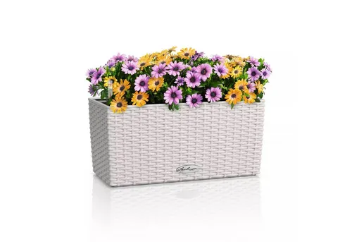 LECHUZA® Kunststoff-Kasten Balconera Cottage - Eleganter Pflanztrog in trendiger Flecht-Optik mit patentiertem Erdbewässerungssystem für weniger Gießaufwand – ideal für Balkon und Garten.