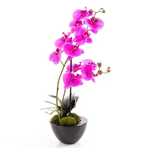 Kunstorchidee Phalaenopsis Melina, 45 cm, violett - Dekorative Kunstpflanze - Die Kunstorchidee Phalaenopsis Melina in violett bringt Farbe und Eleganz in Ihr Zuhause. Ideal für die Innenraumgestaltung und pflegeleicht, sorgt sie für eine stilvolle Atmosphäre ohne Pflegeaufwand.
