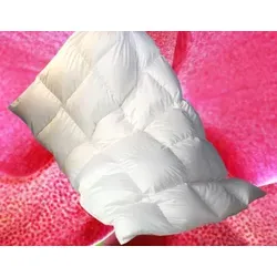 Betten Hofmann 4-Jahreszeitenbett Luxus Daunenbett 155x200 cm - Allergiker Bettdecken mit 100% weißen Landdaunen für maximalen Schlafkomfort. Waschbar bis 60°C, ideal für Hausstauballergiker und langlebig mit einer Lebensdauer von bis zu 30 Jahren.