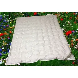 Betten Hofmann superleichte Sommer Daunendecke 155x220 cm von Betten Hofmann