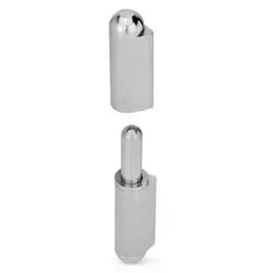 Scharnier 2-teilig 10x100 aus Edelstahl 1.4401 von Ganter Norm