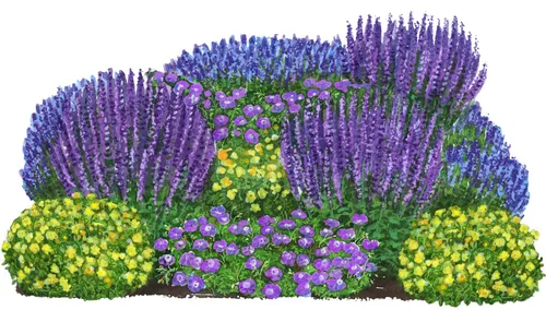 Dehner Staude Bio Stauden-Set Rosenbegleiter, 12 Pflanzen für sonnige Standorte - Verleihen Sie Ihrem Garten mit dem Bio Stauden-Set Rosenbegleiter einen blühenden Akzent. Ideal für sonnige Plätze, harmoniert es perfekt mit Rosen und sorgt für lebendige Farbnuancen.