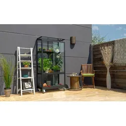 Vitavia Balkongewächshaus mit Rollfundament - 81x43x168cm - schwarz - Kompaktes Gewächshaus für Balkon und Terrasse, mit witterungsbeständigem Aluminium und Sicherheitsglas, ideal für Hobbygärtner.