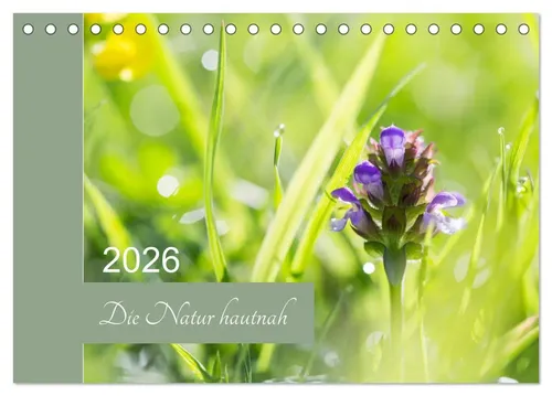 Martina Strudl | Die Natur hautnah (Tischkalender 2026 DIN A5 quer), CALVENDO...