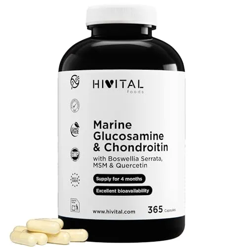 Glucosamin mit Chondroitin. 365 Kapseln für eine 4-monatige Behandlung. Mit 1500 mg Marine Glucosamin 2KCL, Marine Chondroitin, MSM, Boswellia Serrata und Quercetin. Hergestellt von HIVITAL