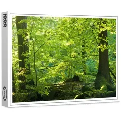 raxxa Puzzle Premium-Puzzle