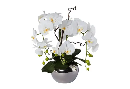 Kunstblume Kunstorchidee Phalaenopsis, Creativ green, Höhe 55 cm, im Keramiktopf, Creativ green