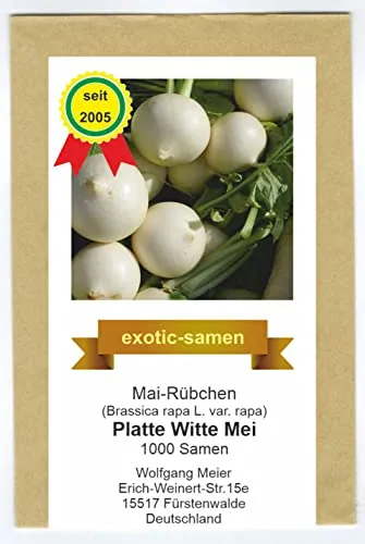 Mairüben - Mai-Rüben - Witte Platte Mei - Brassica rapa - Frühjahrs- und Herbsternte - alte, samenfeste Sorte - 1000 Samen