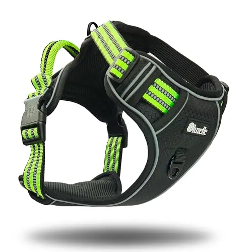 bluzelle Hundegeschirr für kleine Hunde, Reflektierendes Anti-Zug Brustgeschirr - Sicherheitsgeschirre für Hunde mit effektiven Anti-Zug Design und praktischer GPS-Tasche für sichere Aufbewahrung von Tracker und ID-Tags.