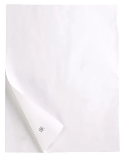 Clairefontaine 975071C Transparentpapier Rolle, 40/45 g, 0,66 x 20m - Transparentpapier für technische Zeichnungen, ph-neutral und säurefrei für hohe Langlebigkeit. Ideal für kreative Projekte und Drucke, stabil und lichtresistent.