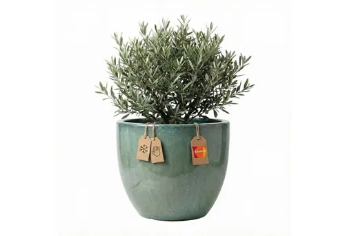 Teramico Blumentopf Pflanzgefäß