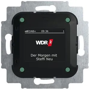 Busch-Jaeger Busch-Radio DAB+ - Hochwertiges DAB+ Radio Modul, ideal für klaren Empfang und vielseitige Nutzung