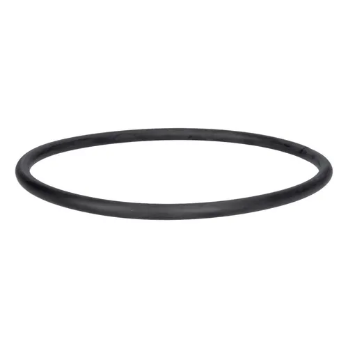 easyPART passend für 1740050300 Beko Dichtung O-Ring 215mmØ für Pumpentopf oben