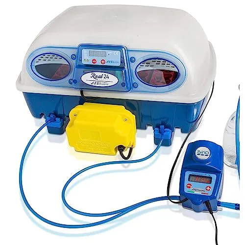 Brutapparate von Borotto