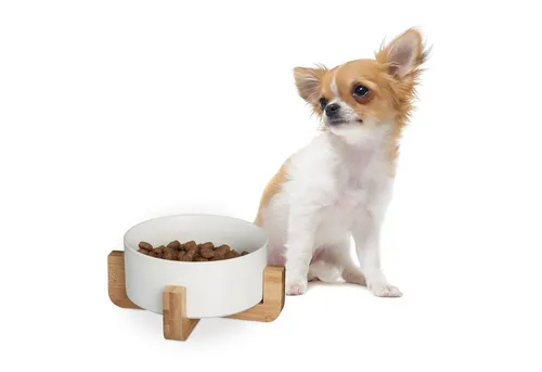 Hundenapf keramik Futternapf für Hunde 850 ml pflegeleicht Fressnapf Keramik