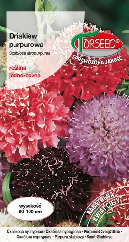 Samen von Purple Dicot Mix 1g - Torseed