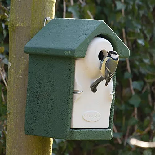 CJ Wildlife Nistkasten – Wetterfester Vogelnistkasten mit Marderschutz