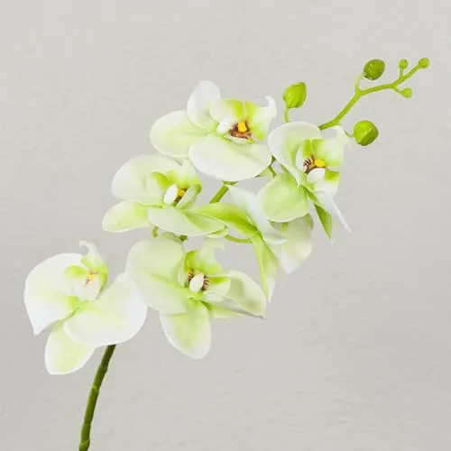 artplants.de Phalaenopsis Orchideenzweig künstlich Ophelia, grün-pink, 80cm - Kunstzweig Orchidee - Seidenorchidee
