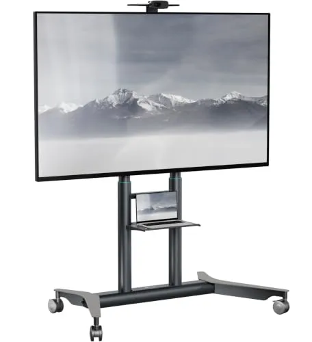 Mobiler TV-Ständer für 55