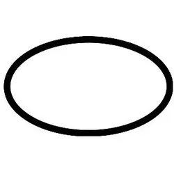 hansgrohe O-Ring 26 x 2 mm 98147000 von Hansgrohe