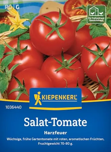 Kiepenkerl Salat-Tomatensamen Harzfeuer 1036440