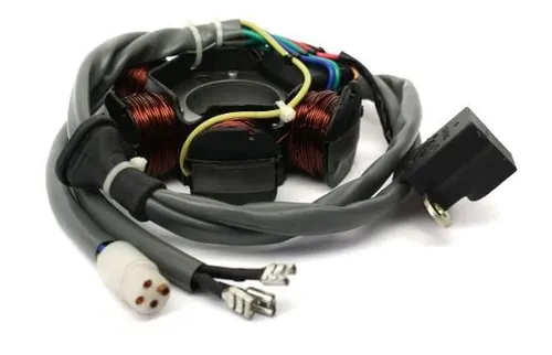 Anker, Lichtmaschine für 50ccm Piaggio Motoren, TPH, NRG, ZIP 50, Sfera