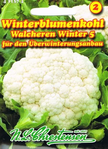 N.L. Chrestensen 411374 Blumenkohl Walcheren Winter 5 (Blumenkohlsamen)