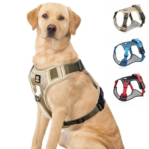 Verstellbares Anti-Zug Hundegeschirr mit Gepolstertem Griff - Hochwertiges, verstellbares Hundegeschirr für kleine bis große Hunde. Mit reflektierenden Streifen für mehr Sicherheit und zwei Befestigungspunkten für flexibles Training und Spaziergänge.