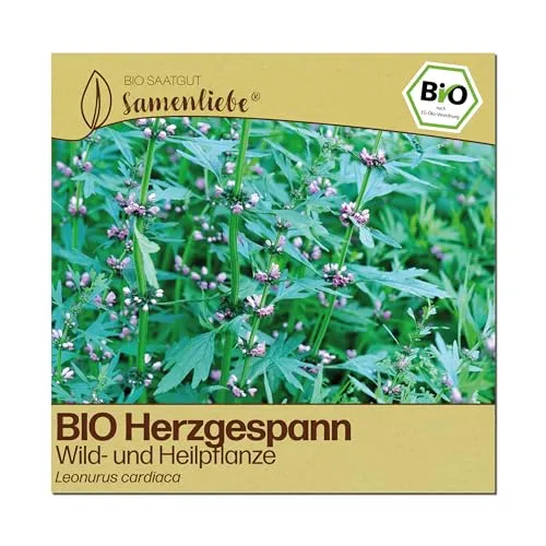 Samenliebe BIO Herzgespann Samen | Heilpflanze