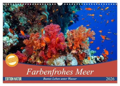 Farbenfrohes Meer (Wandkalender 2026) - DIN A3 quer, beeindruckende Unterwasserfotografien, ideal für Natur- und Meeresliebhaber, bringt Farbe in jeden Raum.