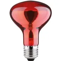 Paulmann Leuchtstofflampe E27 Reflektor R80 60 W 26,m 11,5 x 8 cm (H x Ø)