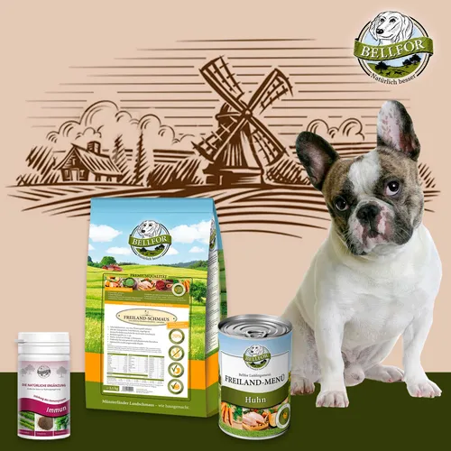 Bellfor Hundefutter Trocken 2,5 kg x 1 Nassfutter 400g x1 Immunszstem Pulver 80g