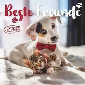 ALPHAEDITION Familienkalender Beste Freunde 2026, 1 St.