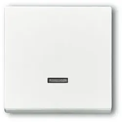 Busch-Jaeger 6543-84-101 - Bedienelement Mem-D. davos, kompatibel mit verschiedenen Busch-Dimmern und ideal für individuelle Lichtsteuerung