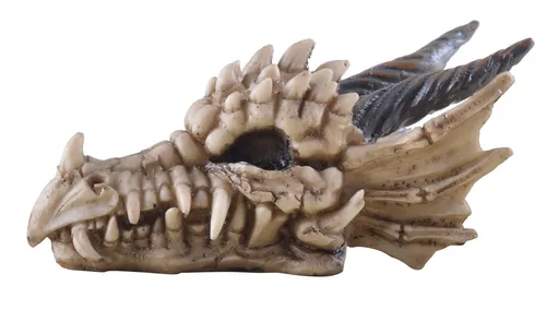 Vogler Dekofigur Kleiner Drachenschädel detailreiche Dekofigur handbemalt 14x7x7 cm