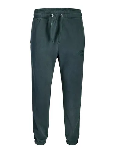 JACK & JONES Jpstkane Bleecker Sweat Pants Bf