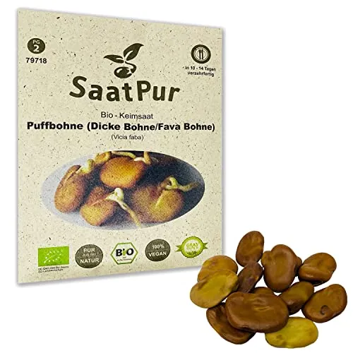 Puffbohne Bio Keimsprossen von SaatPur - Keimsaat für die Sprossenzucht zuhause - 50g