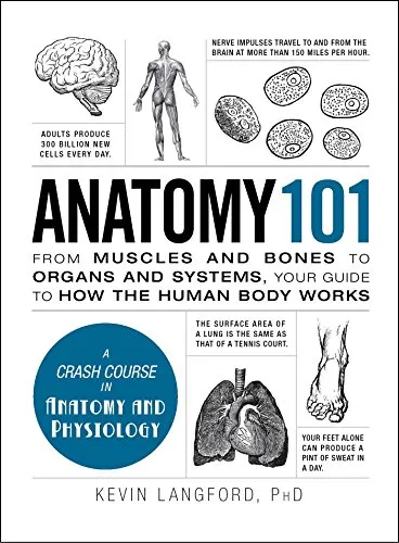 Produktbild Anatomy 101: From Muscles and Bones to Organs and Systems, Your Guide to How the Human Body Works (Adams 101 Series)