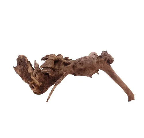 Aquaone Aquarium L Driftwood Flußwurzel Nr.3866 Holz Deko Aquascaping