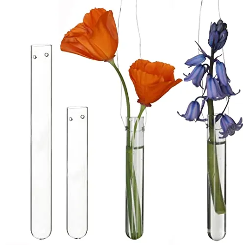 Reagenzgläser für Blumen zum hängen, Reagenzglas Vase mit Loch zum aufhängen, Fensterdeko hängend, Hochzeitsdeko, Tulpenvase Glas, Blumen Vasen Deko, Hängevase Glas Set (10 cm) 12