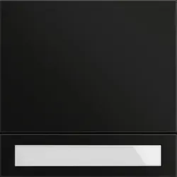 Gira Ruftastenmodul 5531925 von Gira