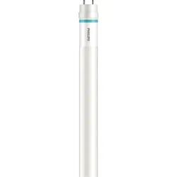 Philips MAS Ledtube VLE 600MM HO 8W 865 T8 LED-Röhre, Sockel G13, 8 Watt, Neutralweiß, 6500 K,