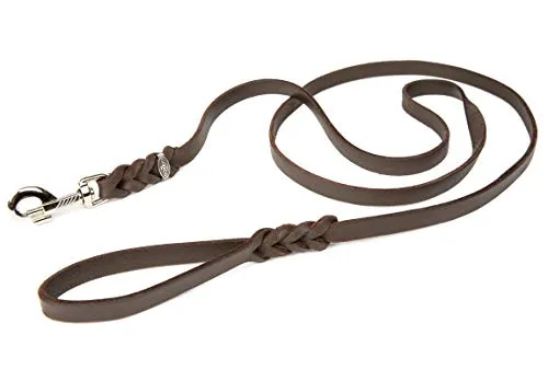 CopcoPet Fettlederleine 2,5 m x 15 mm - Braun - Klassische Hundeleine aus hochwertigem Rindsleder, handgefertigt in Deutschland. Robust, pflegeleicht und mit grifffestem Karabiner – ideal für jeden Hundehalter.