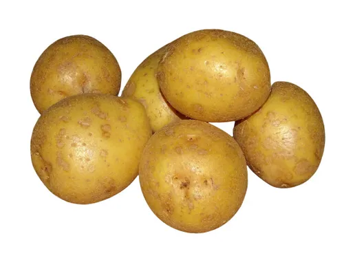 Drillinge Kartoffeln aus Deutschland 5kg frisch ungeschält von FRUCHTVERSAND24