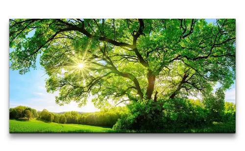 Sinus Art Leinwandbild, 120x60 cm - Hochwertiges Leinwandbild in beeindruckenden 120x60 cm, ideal für die stilvolle Dekoration Ihres Wohnraums.