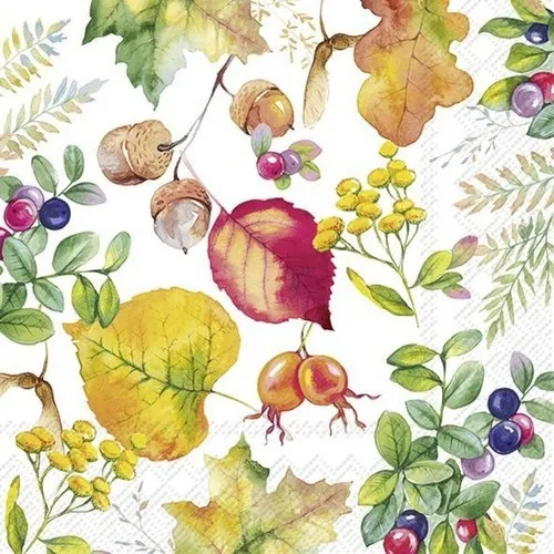 Servietten Harvest Season Bunte Vielfalt Beeren Hagebutten Herbst 33x33cm 20